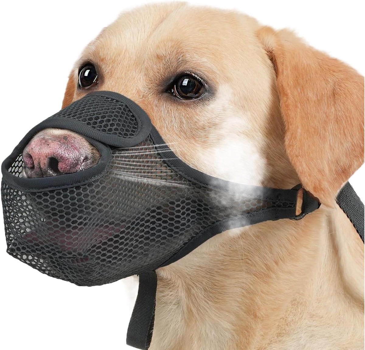 Honden muilkorf - Veiligheid schild - Training en wandelen - Ademend netontwerp - Verstelbaar - Zwart