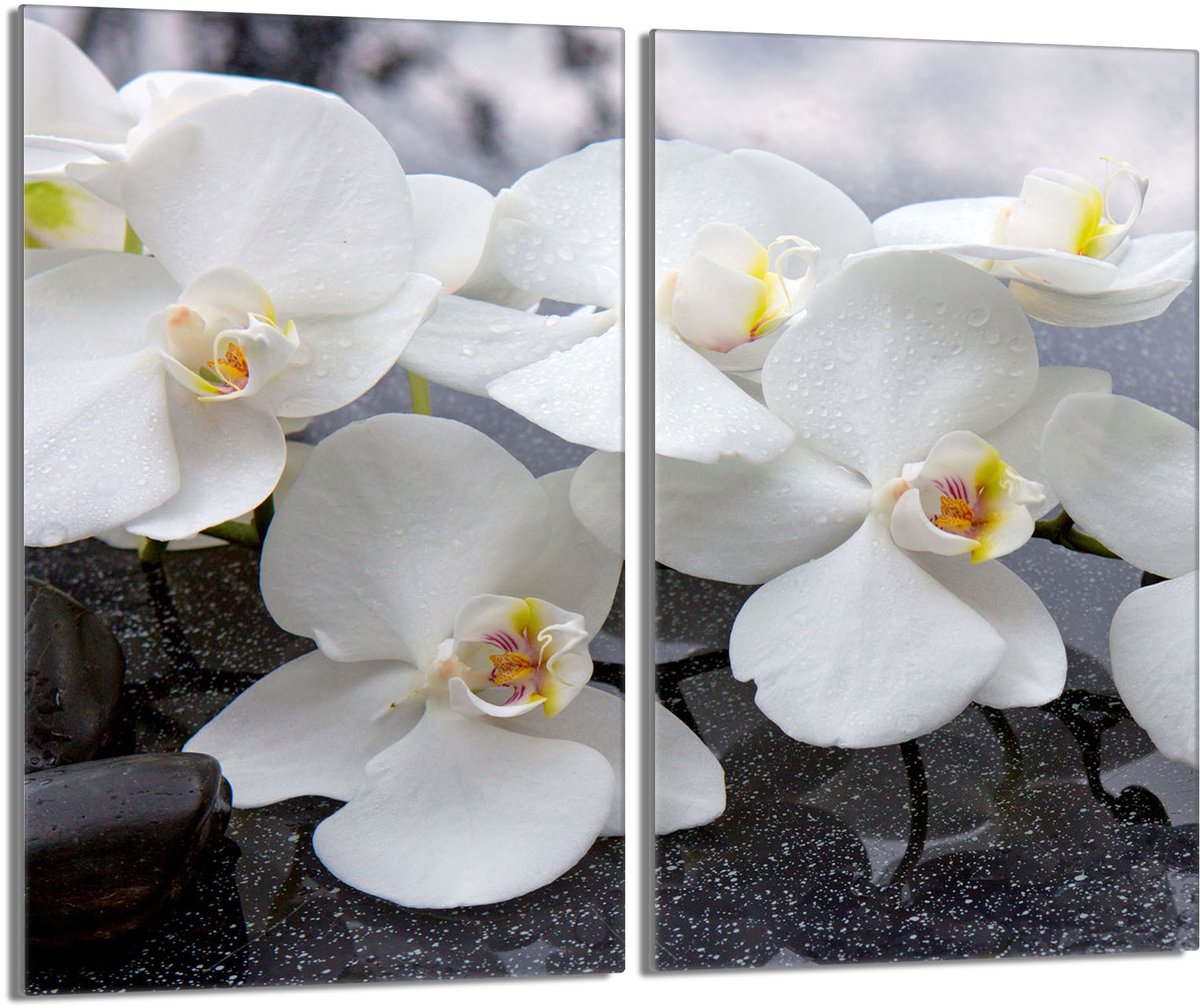 TMK ArtDeko - Orchidee - Glazen Beschermplaat - 2x30x52cm - Hittebestendig