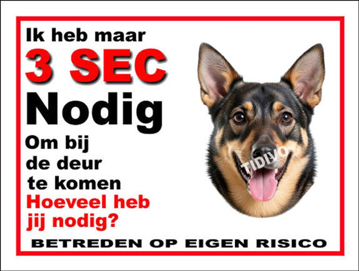 Västgötaspets 6