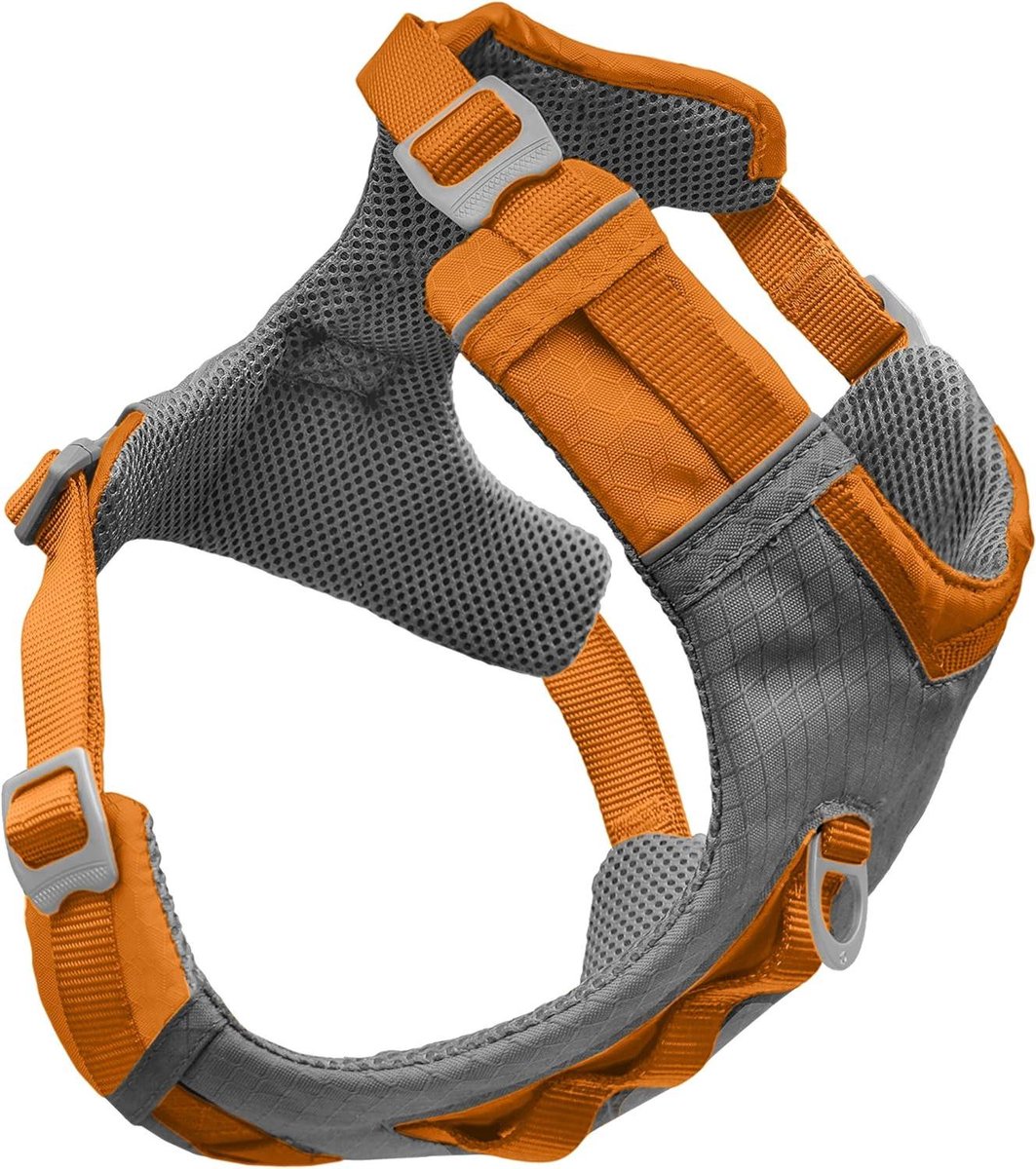 Hondentuigje - Huisdier harnas - Actieve wandelingen - Met handvat en reflecterend - S Nek 30-50cm Borst 40-55cm - Oranje