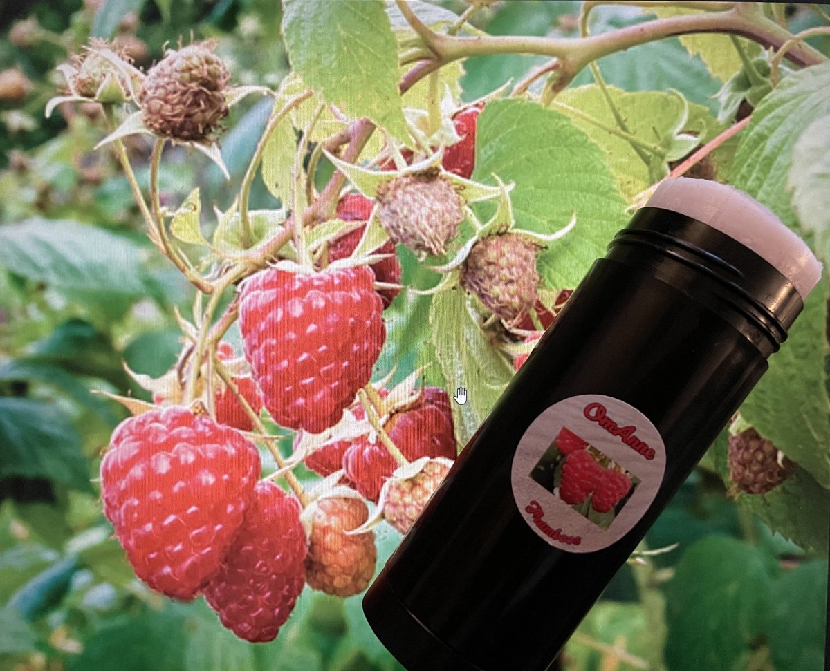 Deodorantstick Framboos 100 ml. Puur Natuur!! van OmAnne Prijs inclusief verzending !!
