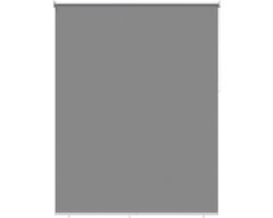 vidaXL - Buitenrolgordijn - UV-bescherming - Lichtgrijs - 200 - x - 140 - cm - (B - x - H)