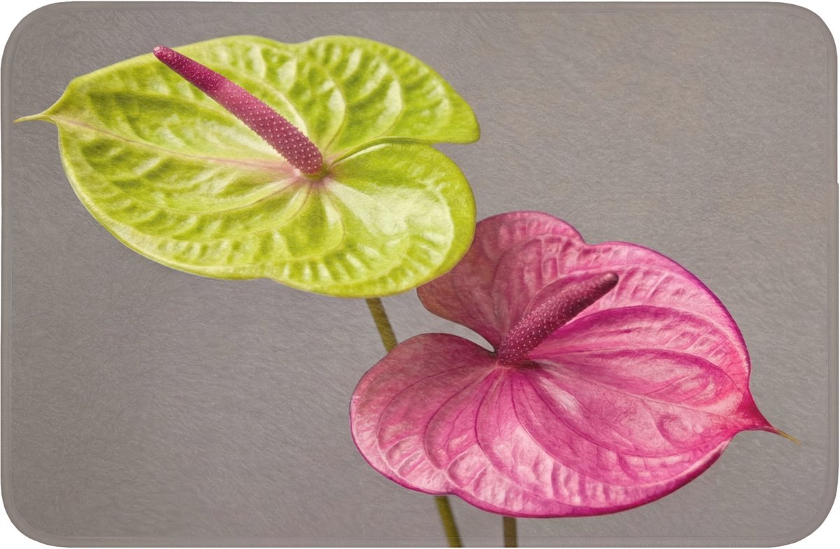 WC mat 60x40 cm - Antislip - Planten - Anthurium - Groen - Roze - Toiletmat - Vloermat - D