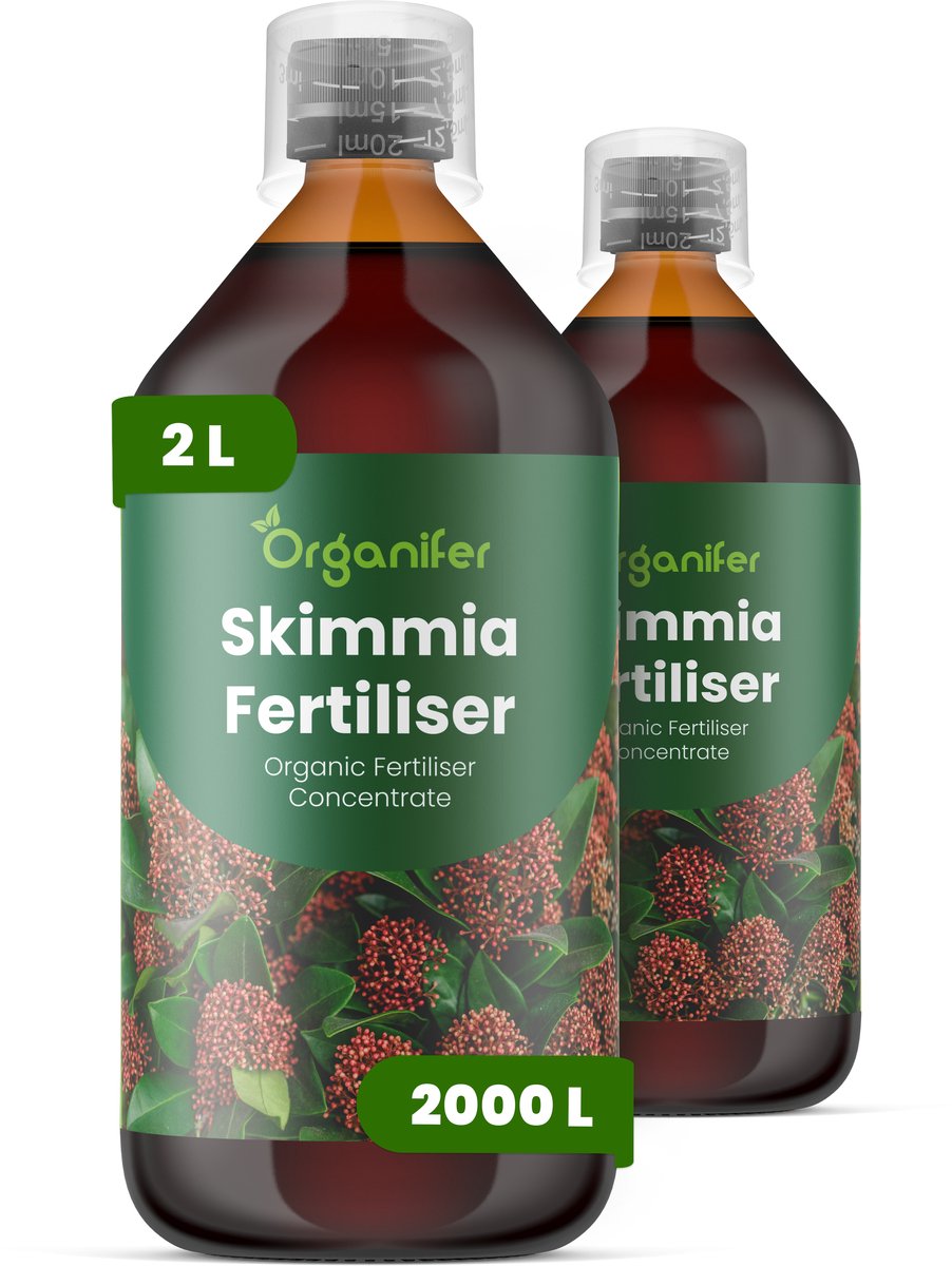 Vloeibare Meststof Voor Skimmia 2X1 L Voor 2000 L - Npk 3-4-3 - Ondersteunt Een Evenwichtige Groei - Bevordert Glanzend, Wintergroen Blad En Een Plantstructuur - Stimuleert Een Betrouwbare Bloei En De Ontwikkeling Van Decoratieve Bessen - Organifer