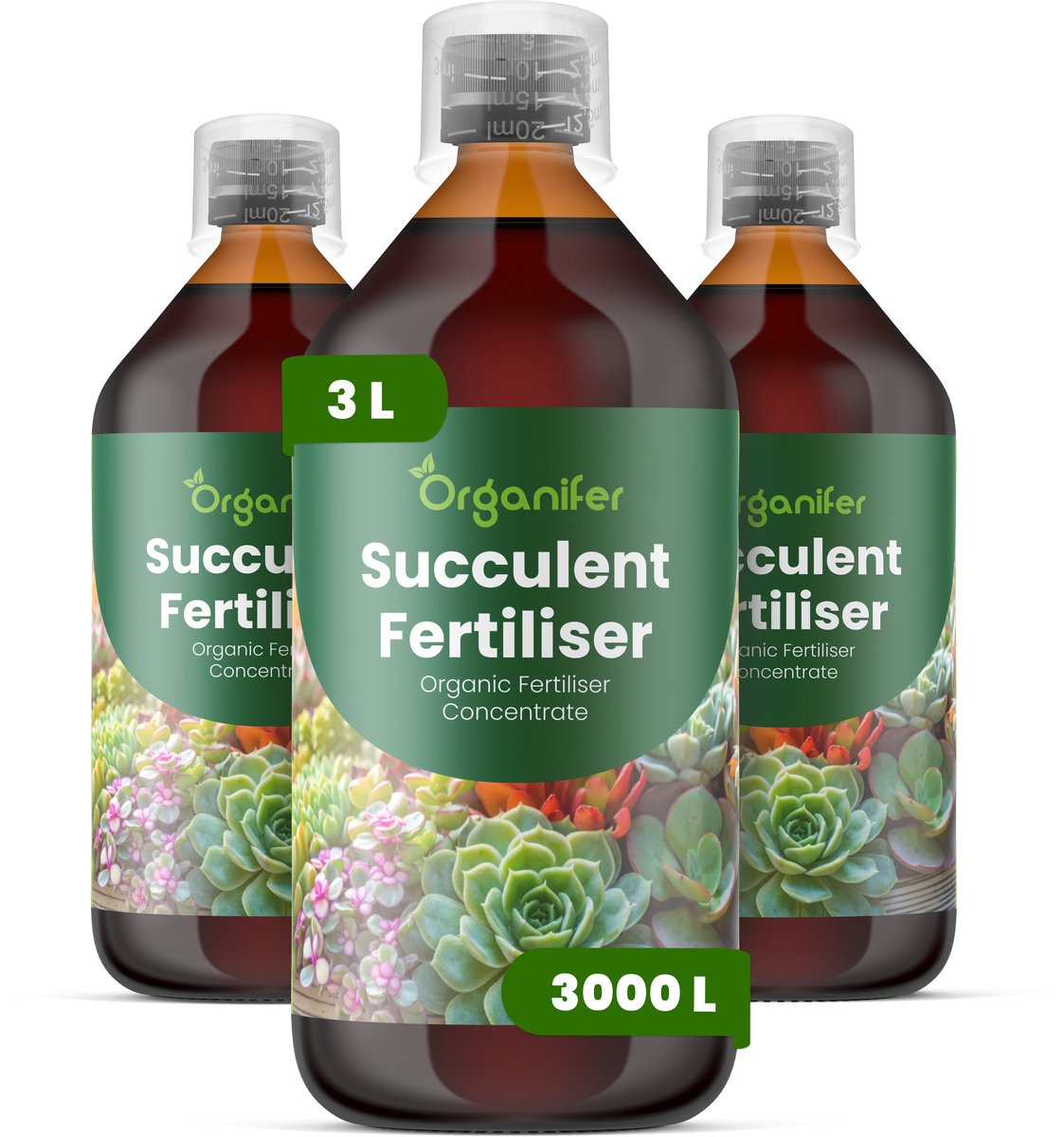 Vloeibare Meststof Voor Vetplant 3X1 L Voor 3000 L - Npk 2-1-8 - Ondersteunt Compacte - Gecontroleerde Groei Bij Vetplanten - Versterkt De Kleurintensiteit Van Het Blad En De Structurele Stevigheid - Voor Vetplanten Binnen En Buiten - Organifer