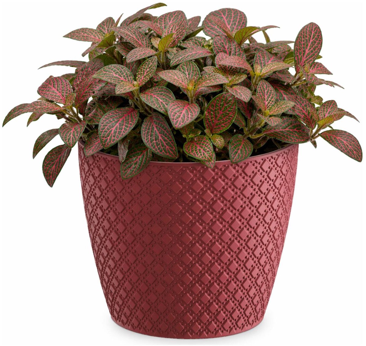 Prosperplast bloempot / plantenpot - kunststof - diep rood - Dia 15.7 cm en hoogte 13.8 cm - binnen/buiten