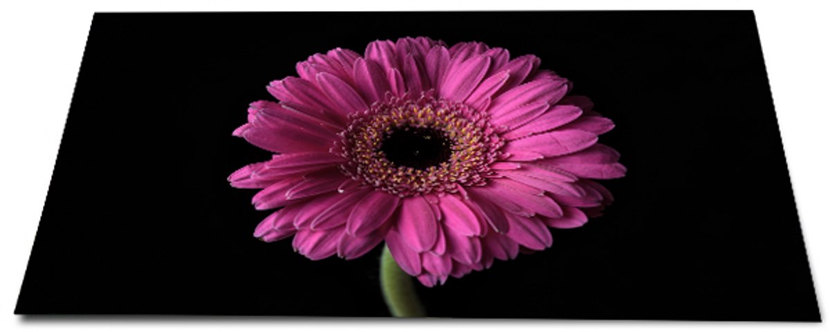 Papillon Inductie beschermer - Antislip afdekmat - 60x52 - Bloem Roze