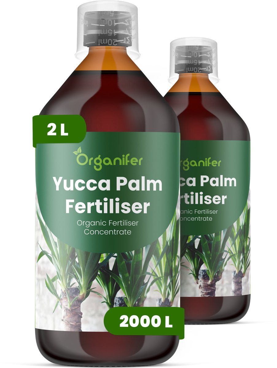 Vloeibare Meststof Voor Yucca Palmen - 2X1 L Voor 2000 L - Npk 2-1-8 - Geschikt Voor Yucca-Palmen In Pot En In De Tuin - Versterkt De Wortels - Helpt De Compacte - Architecturale Plantvorm Te Behouden - Ontwikkeld Voor Regelmatig - Organifer