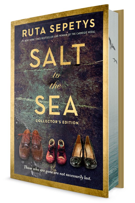 Salt to the Sea: Collector's Edition - cover