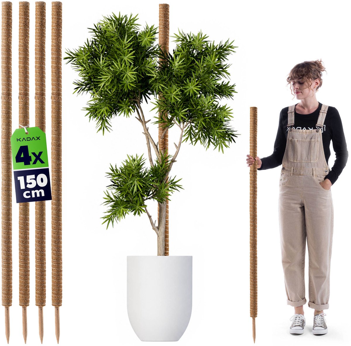 KADAX kokosstick 150cm voor kamerplanten, 4 stuks, plantenstick van kokosvezel voor veilige ondersteuning van planten, mosstick voor klimplanten, monstera klimhulp, plantenstick