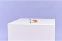 Petit hamster LEGO à fourrure marron et blanche, près d'une fleur violette.