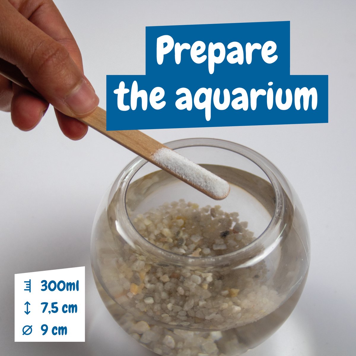 Science4you Jurassic Creatures voor kinderen 6+ - Kweek prehistorische zeedieren met je Triops-kit, inclusief klein aquarium, Creëer een ecosysteem met zeedraken, Science Kits voor kinderen — cadeau in Spellen & Speelgoed - foto 3