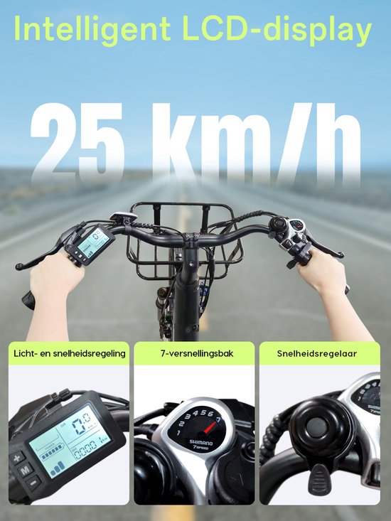 Runetic 26” Elektrische Fiets - Motor 250W - Actieradius 80km - 36V 13AH Verwijderbare Batterij - 25KM/H - Grijs — afbeelding 2
