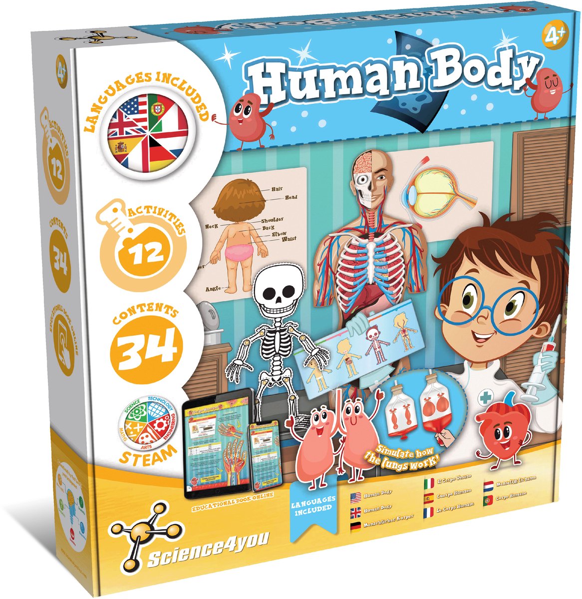 Model van het menselijk lichaam - Science4you Human Body – Educatief Wetenschapspakket voor Kinderen – Menselijk Lichaam Experimenteerset – STEM/STEAM Speelgoed – Vanaf 4 Jaar