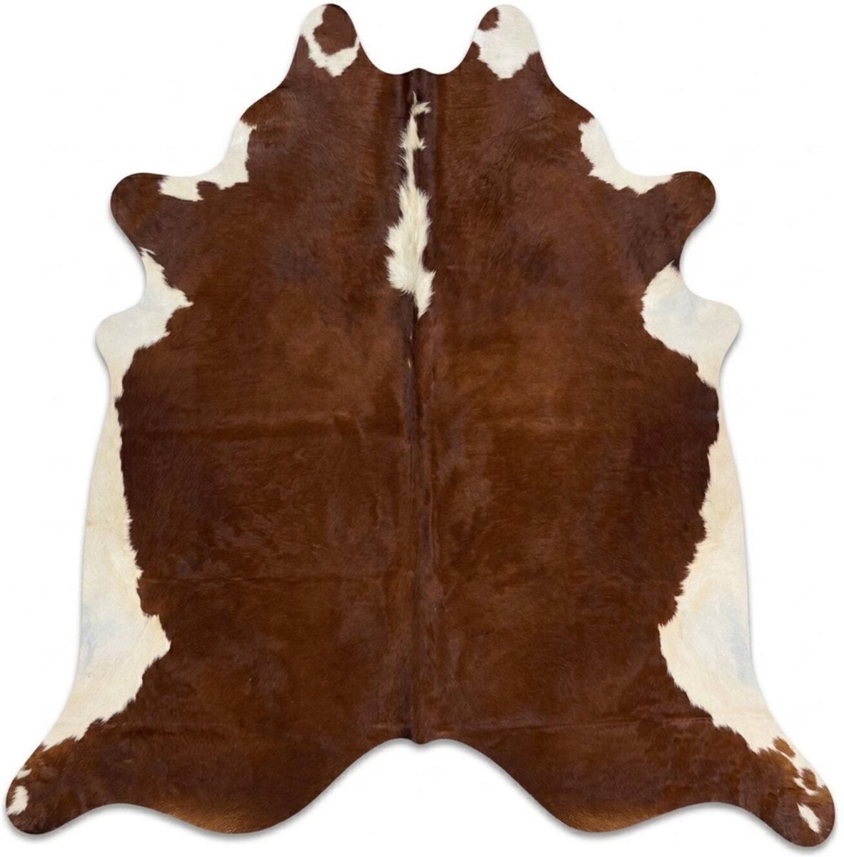 Koeienhuid Vloerkleed - Hereford Roodbruin-Wit - 260 x 240 cm - Koeienkleed / Koeienvel / Koehuid Tapijt - incl. 4 onderzetters