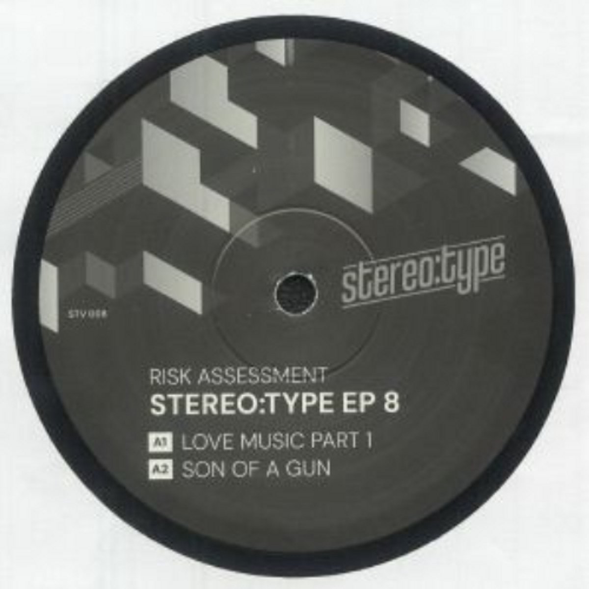 Risk Assessment - Stereo:type Ep 8