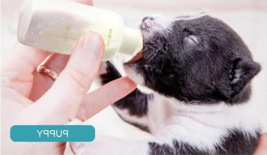 Fles voor het voeden van kittens en puppy's, silicone babyfles met speenborstel, ideaal voor jonge dieren, 60 ml — afbeelding 2