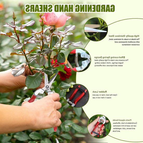 Dailygoods- Plantenschaar - Snoeischaar - Takkenschaar - Oogstschaar - Voor Tuin/Bonsai - Geschikt voor Planten/Bloemen/Rozen van Dailygoods — afbeelding 4