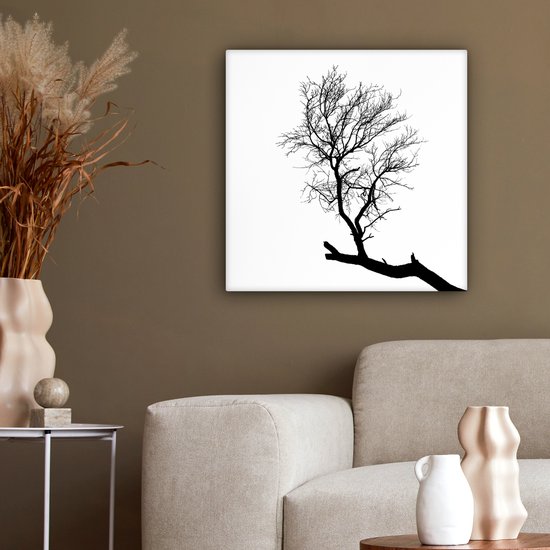 Silhouette d'une branche d'arbre 50x50 cm - Tirage photo sur toile (Décoration murale salon / chambre)