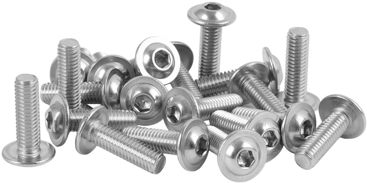 Dailygoods - Set van 20 Lenskopschroeven M6 x 20 mm van Roestvrij Staal