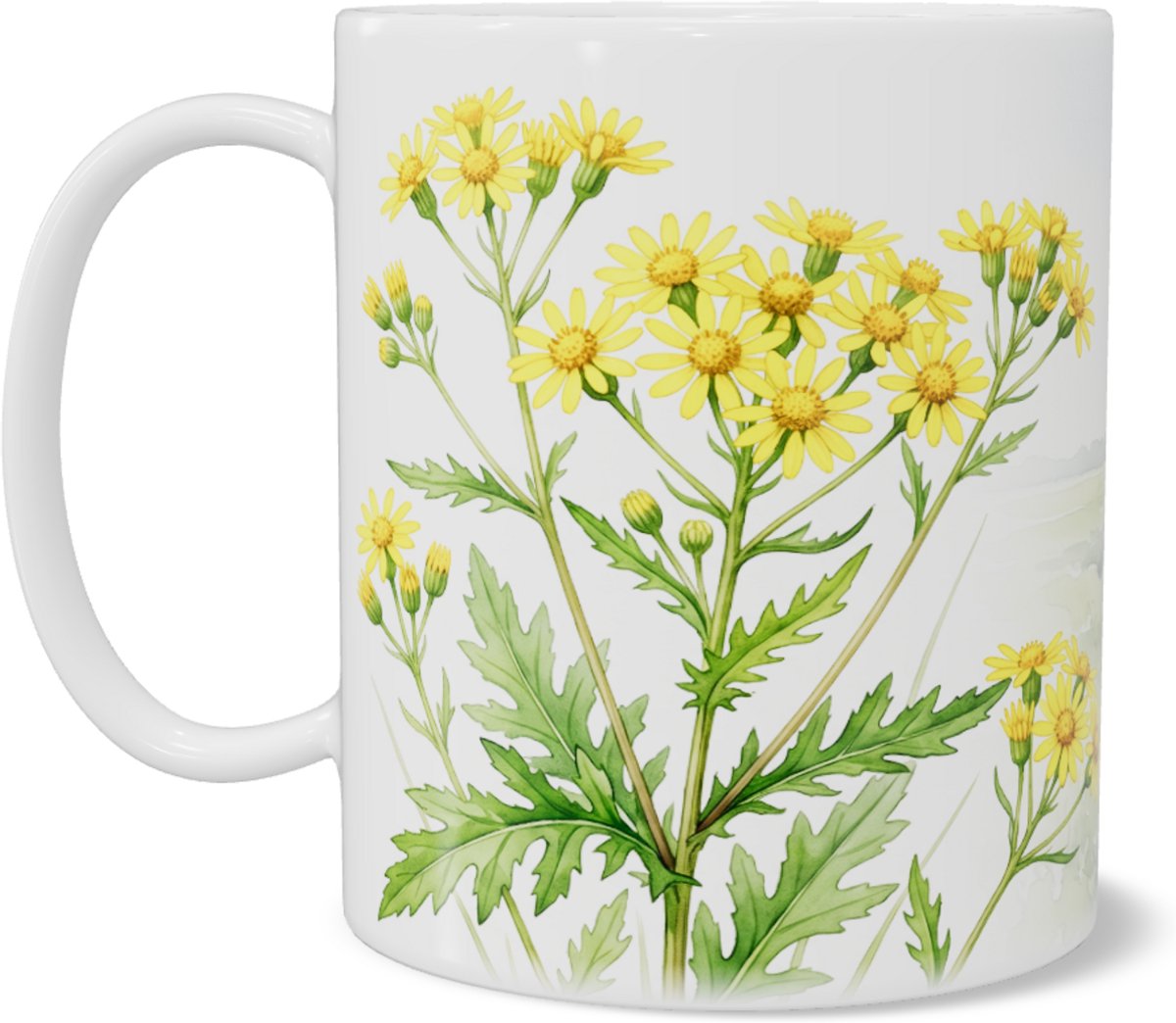 Mok met rivierkruiskruid illustratie - Jacobaea vulgaris - Natuur mok