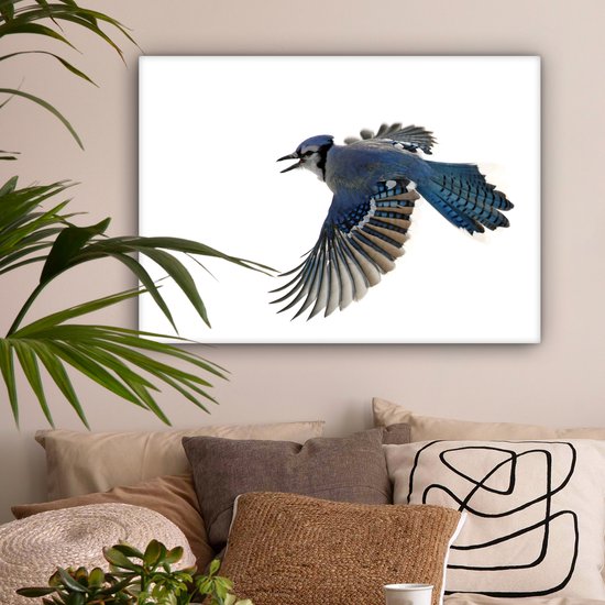 Blue Jay devant toile fond blanc 2cm 80x60 cm - impression photo sur toile peinture Décoration murale salon / chambre à coucher) / Animaux sauvages Peintures Toile