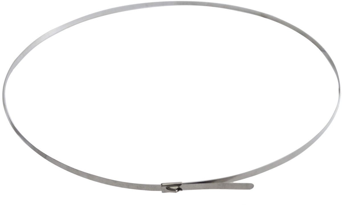 Dailygoods - Dailygoody - Slangklemmen Roestvrij Staal - 10 Kabelbinders - Zuurbestendig - 4,6 mm x 100 cm - Sterke Bevestiging - Geschikt voor Diverse Toepassingen