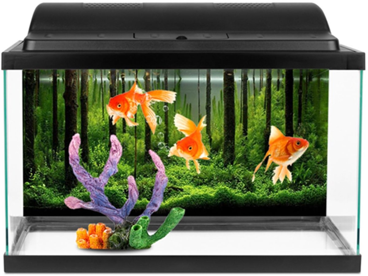 Dailygoods - Dailygoody - PVC Aquarium Achtergrond - Onderwater Bos Decoratie - Kleurrijk - Fish Tank Poster - Geschikt voor Aquaria - 61 x 30 cm