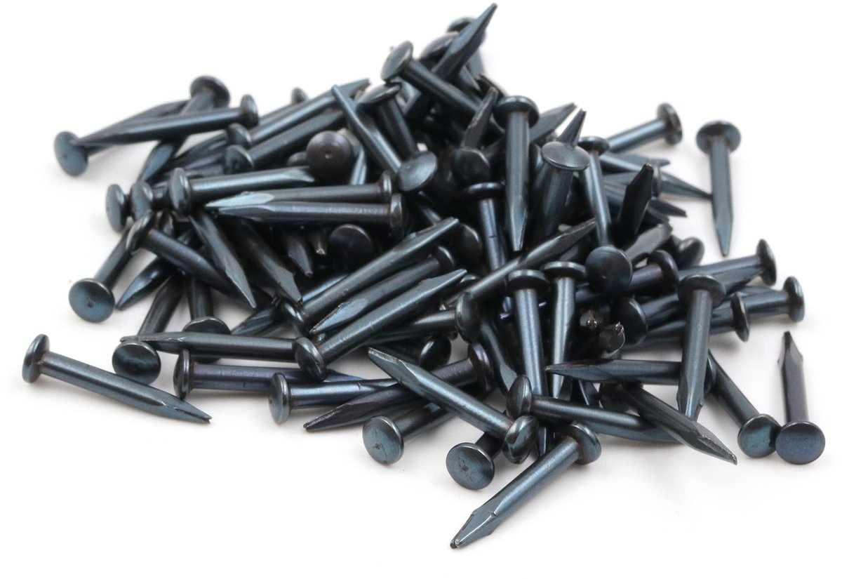 Dailygoods - Dailygoody - Stalen pennen - Spijkers voor plinten - Blauw - 100 stuks - Perfect voor houtbewerkers - Ideaal voor diverse klussen