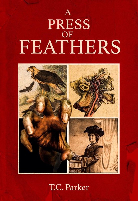 A Press of Feathers - cover