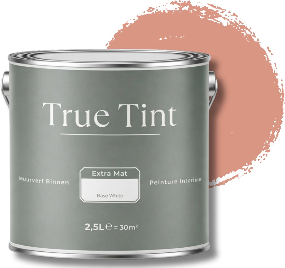 True Tint Muurverf Mat - Soft Terracotta- 2,5 L - The Blush Clay Collection - Terra Muurverf - Rendement 30m² - Muurverf oranje roze - Matte Muurverf - Zachte kleur - Mengverf