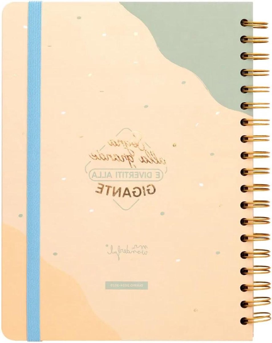 Mr.Wonderful - Office schoolplanner 2024-25 week groot - droom groot en geniet van de reus