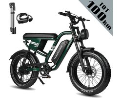 Maxtron MX10 Elektrische Fiets – 20×4.0 Inch Fatbike – 48V 13.5Ah Accu – Actieradius tot 100 km – Mechanische Schijfremmen – Stadsfiets – Max. Belastbaar 120 kg –Groen
