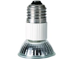Mini Spot Lamp - Warmtelamp Reptielen - Terrarium Verwarmen - Geconcentreerde Straal - 20 Watt