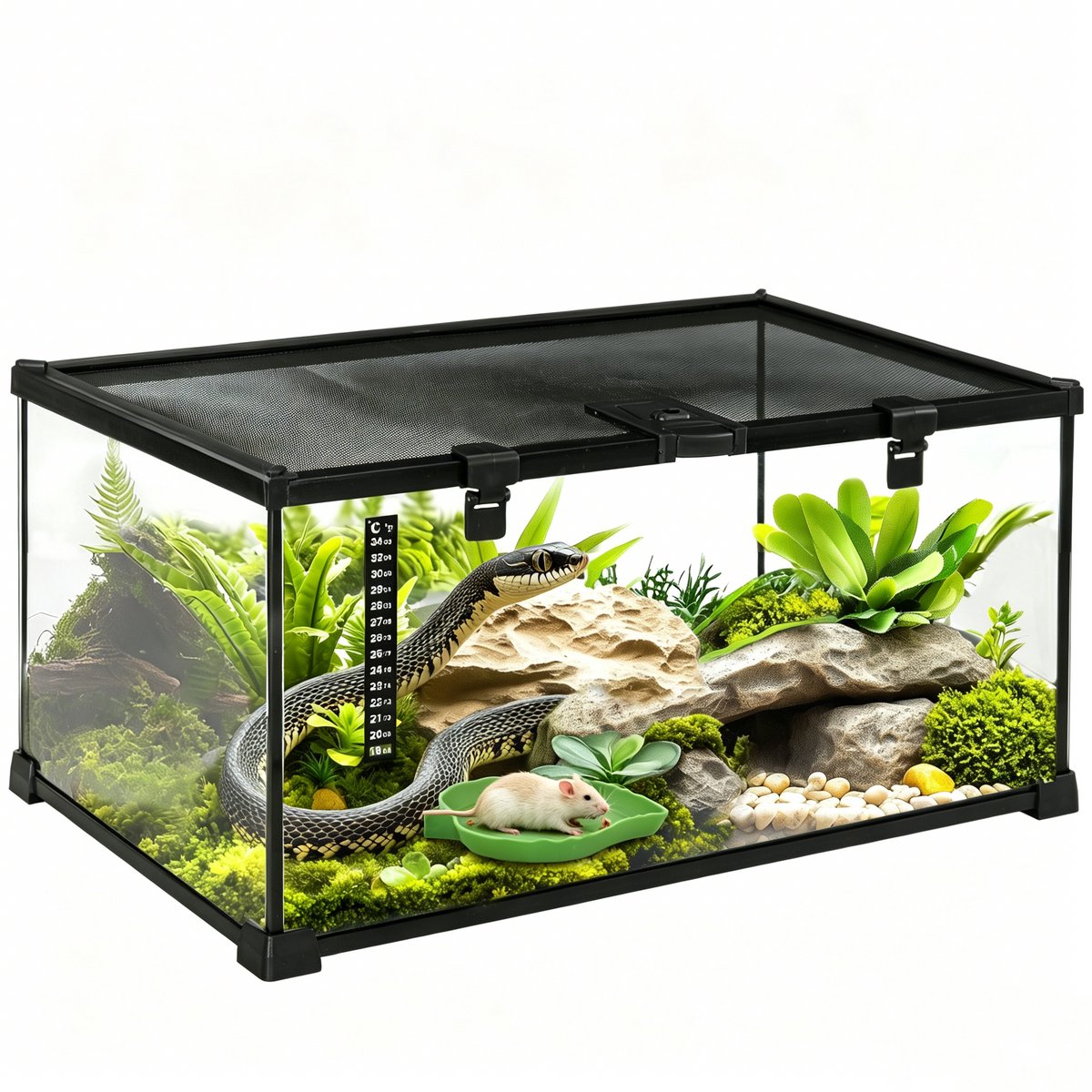Glazen Terrarium voor Reptielen en Amfibieën met Schuifdeksel - Incl. Thermometer - Waterbakje - Zwart - 50x30x25 cm