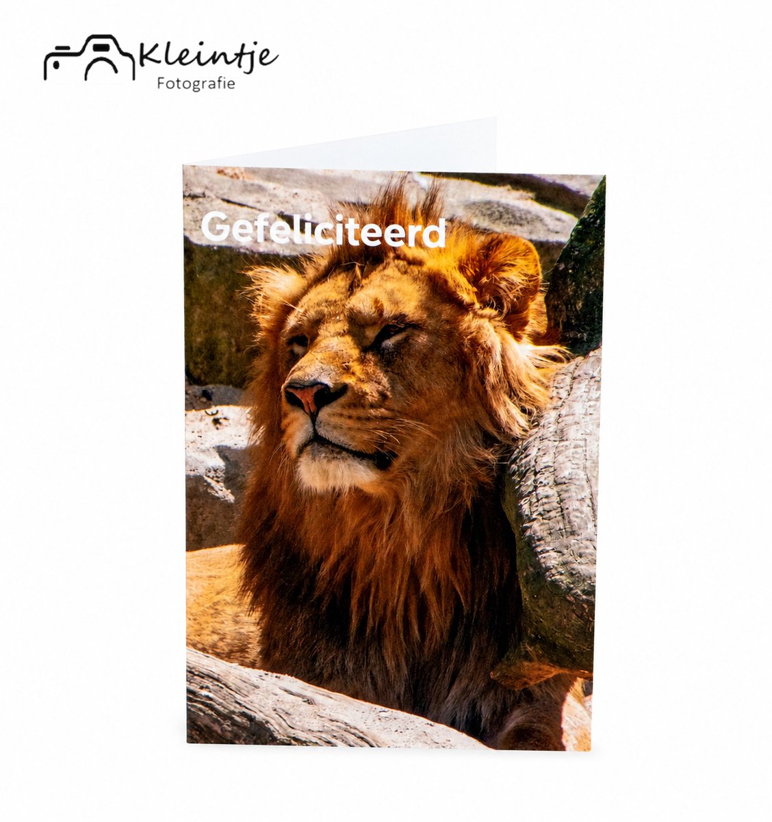 Leeuw verjaardag – Stoere dierenkaart | Kleintje Fotografie