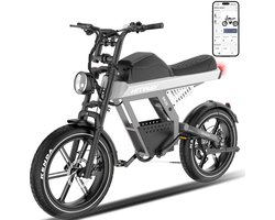 Hitway Elektrische Fiets BK28 - 20*4.5 Inch Fat Tire City Commuter EBike met Afneembare 48V 25 Ah Lithium Batterij - Mountain E-Bike met 250W Motor - 7 Versnellingen - APP Bediening