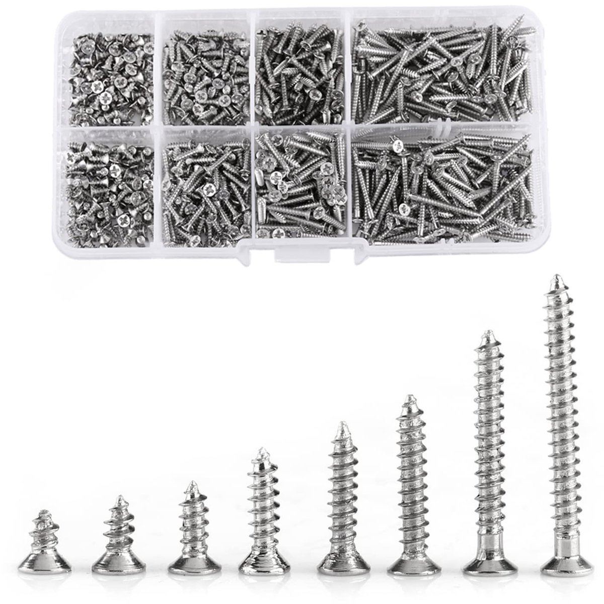 Dailygoods- Zelftappende Schroeven 800 Stuks - Roestvrij Staal - Kruiskopschroeven - Voor Metaal/Hout - Opbergdoos - Corrosiebestendig