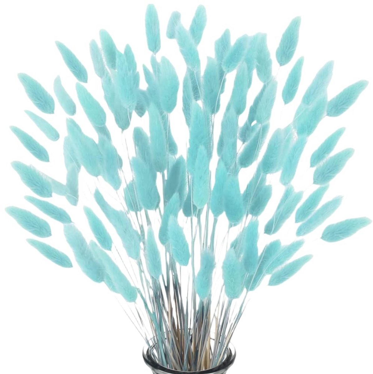 Dailygoods- Pampasgras 60 Stuks - Gedroogde Bloemen - Decoratie - Bruiloft - Interieur - Natuurlijke Kleur - Totale Lengte 40-45 cm - Droogbloemen