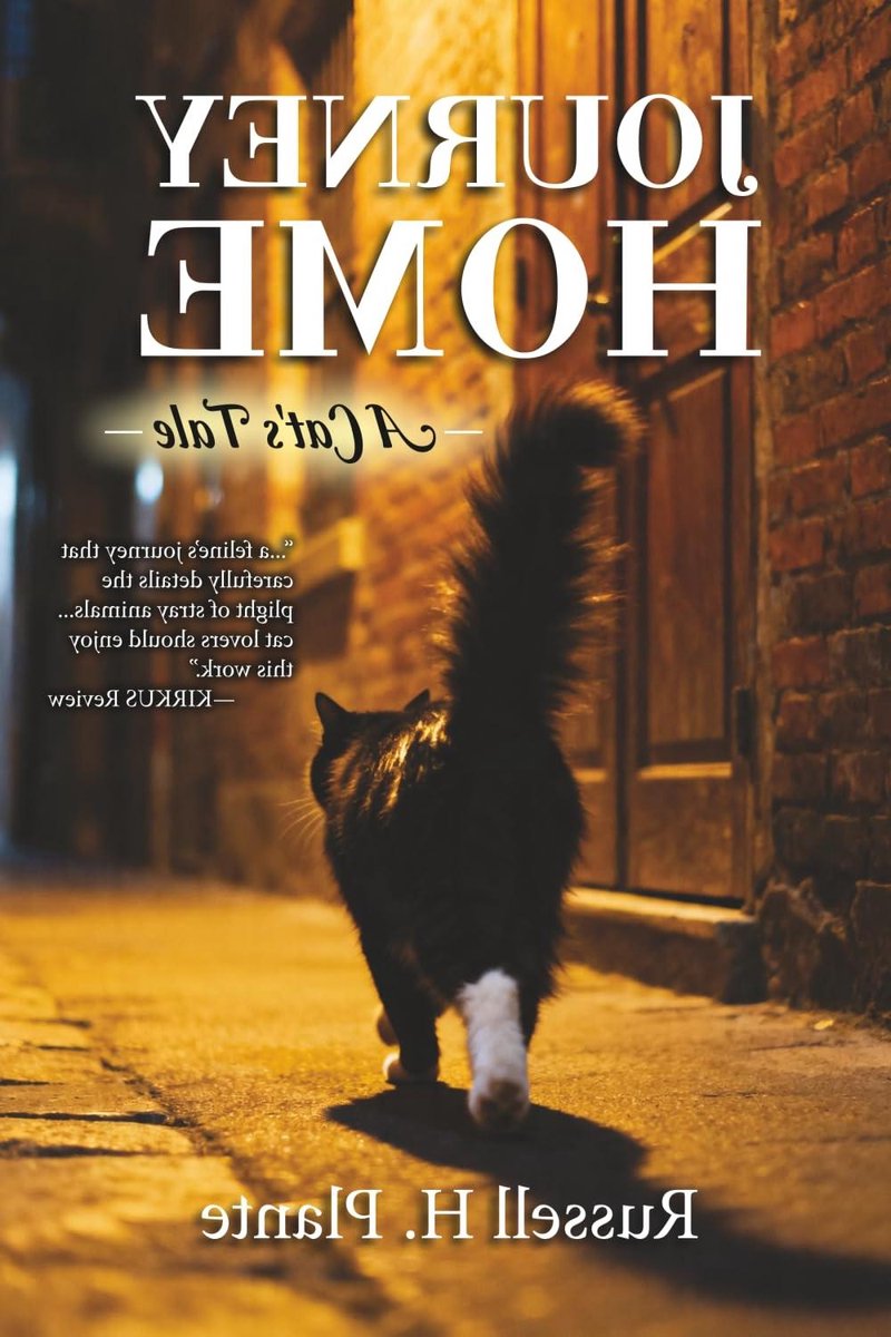 Verhaal over een Kat - Dierenverhaal Katten - Lezen Ontspanning - Gebaseerd op Ware Gebeurtenissen - 196 pagina's
