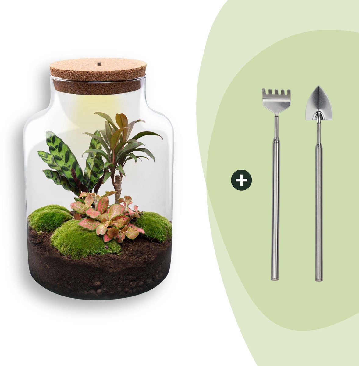 Terrarium - Milky - ↑ 31 cm - Ecosysteem plant - Kamerplanten - DIY planten terrarium - Mini ecosysteem