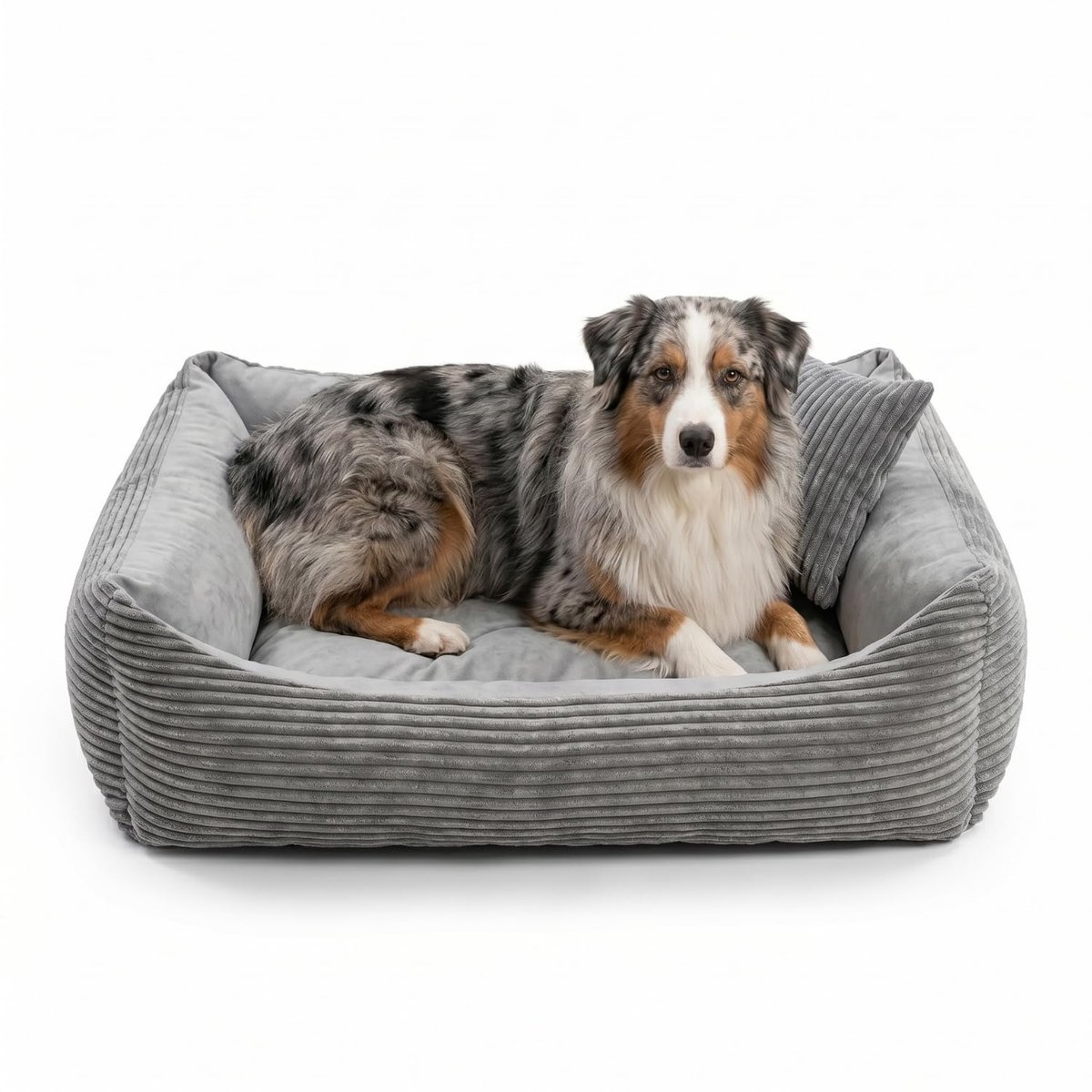 4L Textil Molly behaaglijk hondenbed, hoes afneembaar en wasbaar, voor middelgrote honden, corduroy, hondenkussen, wollige hondenmand, corduroy, hondenbank, 80 x 60 cm, grijs