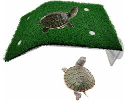 Reptielen Terras - Rustplek Aquarium - Dieren Welzijn - Met Kunstgras - 20 x 12 x 4 cm - Groen
