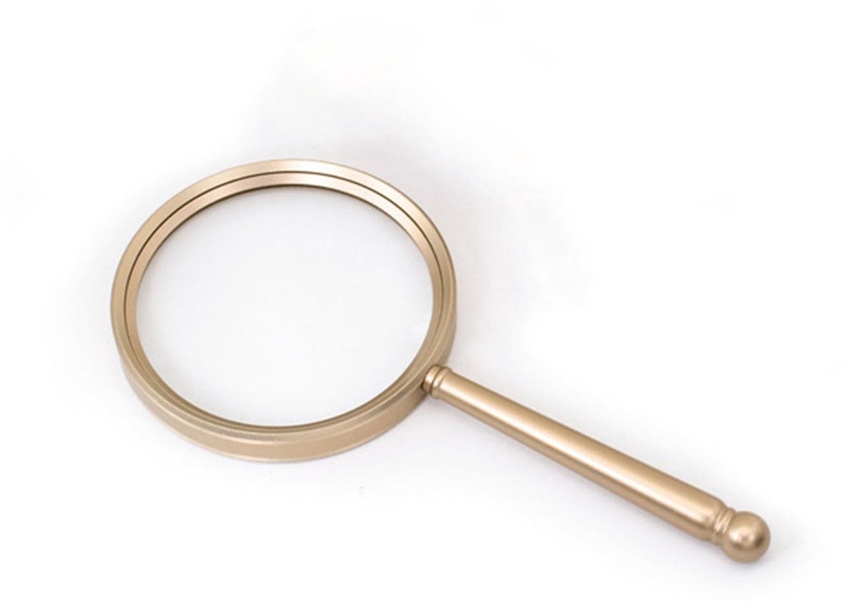 Dailygoods- Vergrootglas 10x - Vergrootglas voor Senioren/Kinderen - Lezen van Boeken/Kranten - Insectenobservatie - Hobby's - Diameter 90 mm - Loep