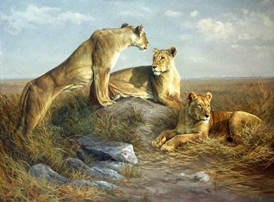 Dick van Heerde - Natuur, Olieverf en Penselen - Boek