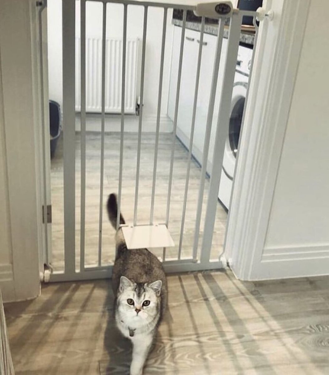 Bettacare traphekje met kattenluik – foto 7