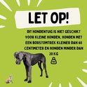 Een Doggen, een Chihuahua en tekst: "LET OP! DIT HONDENTUIG IS NIET GESCHIKT VOOR KLEINE HONDEN..."