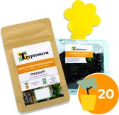 Verpakking met 'Steinernema feltiae aaltjes', 'MEDIUM 5 miljoen', '20 planten', '10 m²' en 'zie sticker'. Naast de zak een geel vlindervormig vangplaatje en een zakje met Hypoaspis miles roofmijten. Oranje cirkel met '20'.