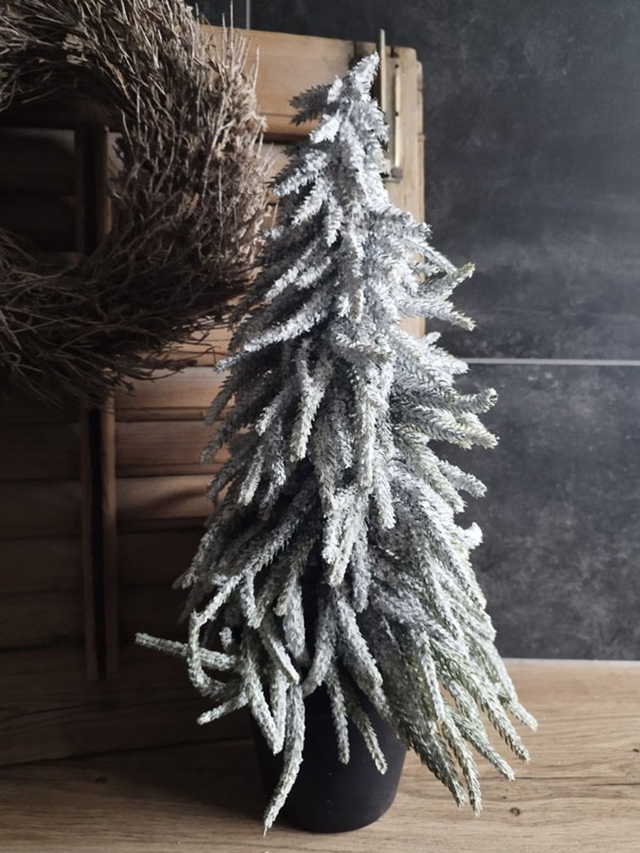 Kerstboompje demu in pot