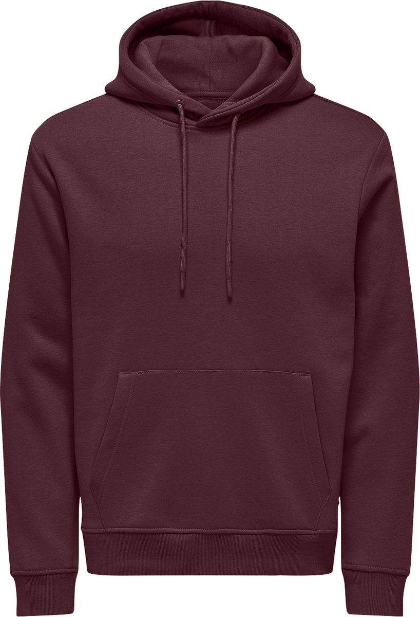 ONLY&SONS - ONSCONNOR LIFE REG SWEAT HOODIE NOOS - Heren - Sweaters
